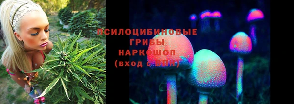mdpv Новодвинск