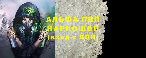 соль ск Болохово