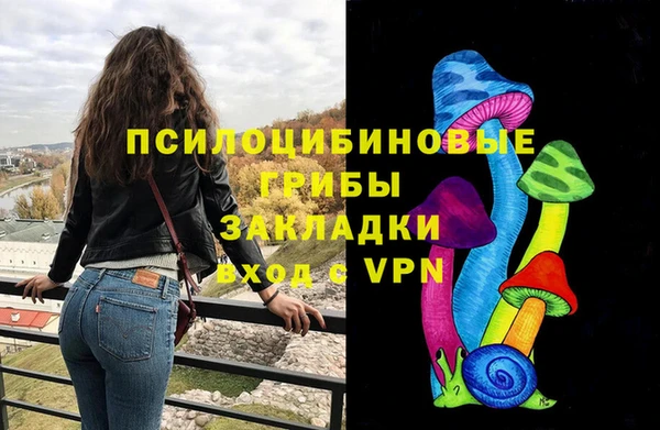 гидра Новозыбков