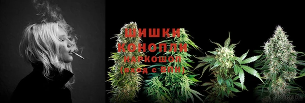 ECSTASY Нязепетровск