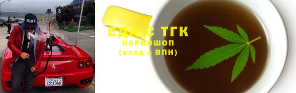 гидра Новозыбков