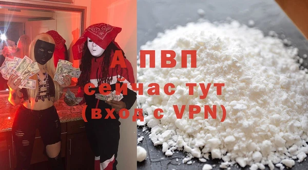 гидра Новозыбков