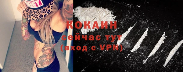 гидра Новозыбков