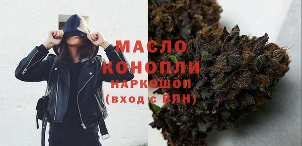 гидра Новозыбков