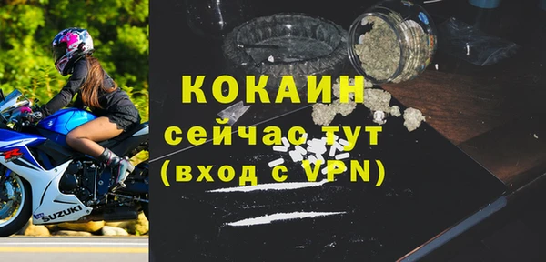 гидра Новозыбков