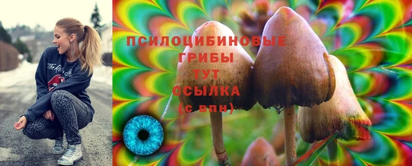 2c-b Нягань