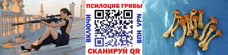 Галлюциногенные грибы ЛСД где купить наркотик Приморско-Ахтарск
