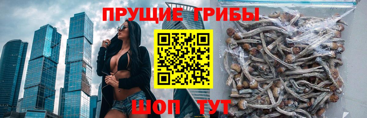 Псилоцибиновые грибы Psilocybe  Вход с VPN  Приморско-Ахтарск  Псилоцибиновые грибы Psilocybine cubensis 