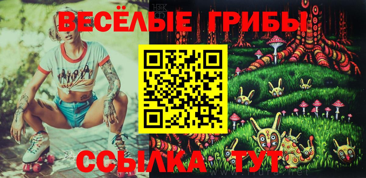 Галлюциногенные грибы прущие грибы Приморско-Ахтарск